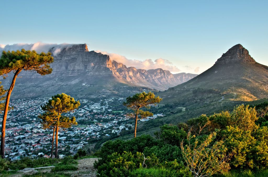 Panorama von Kapstadt mit dem flachen Tafelberg unter tiefen Wolken und dem spitzen Lion’s Head im Abendlicht. Im Vordergrund grüne Bäume. Panorama von Kapstadt mit dem flachen Tafelberg unter tiefen Wolken und dem spitzen Lion’s Head im Abendlicht. Im Vordergrund grüne Bäume.